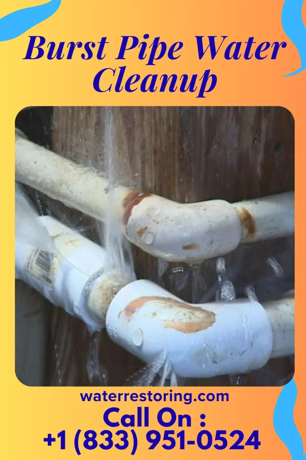 Burst Pipe Water Cleanup in Holters Crossing, PA