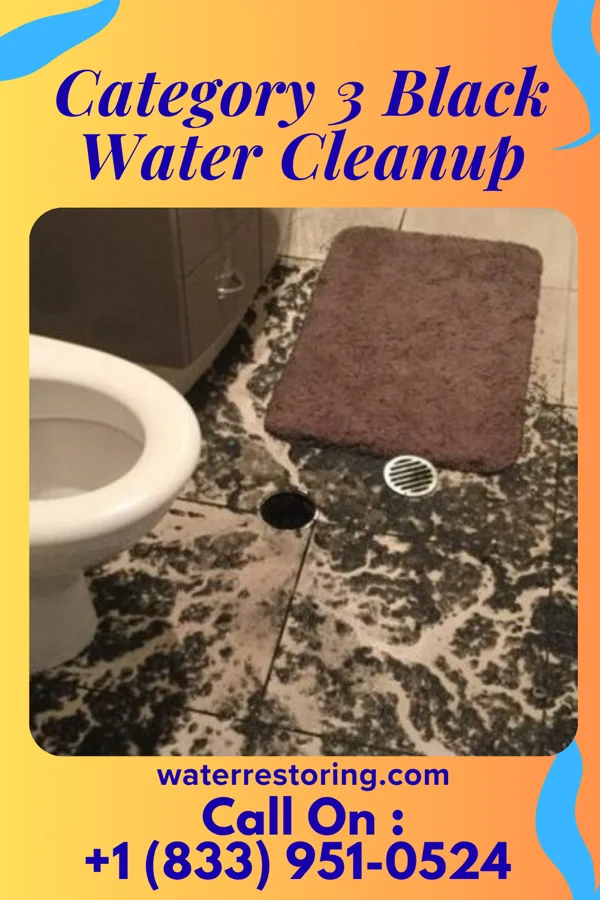 Category 3 Black Water Cleanup in Holters Crossing, PA