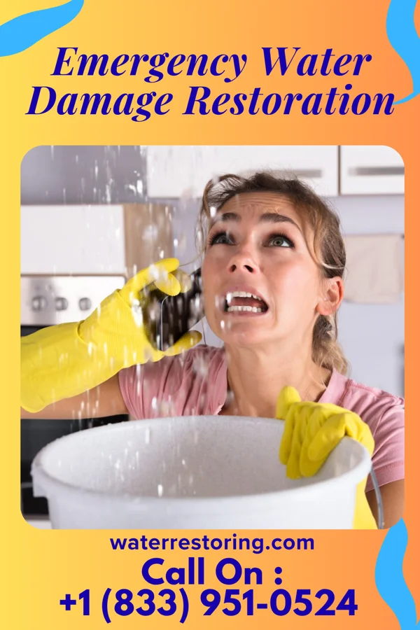 Emergency Water Damage Restoration in Holters Crossing, PA