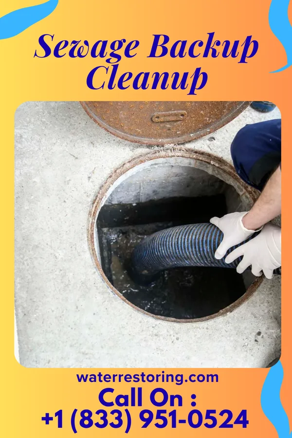 Sewage Backup Cleanup in Holters Crossing, PA