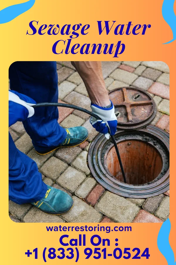 Sewage Water Cleanup in Holters Crossing, PA