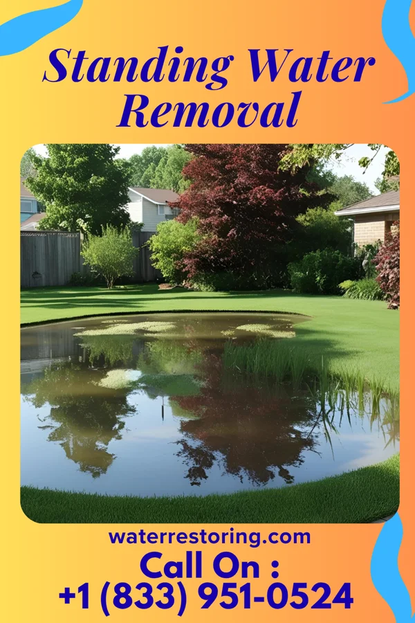 Standing Water Removal in Holters Crossing, PA
